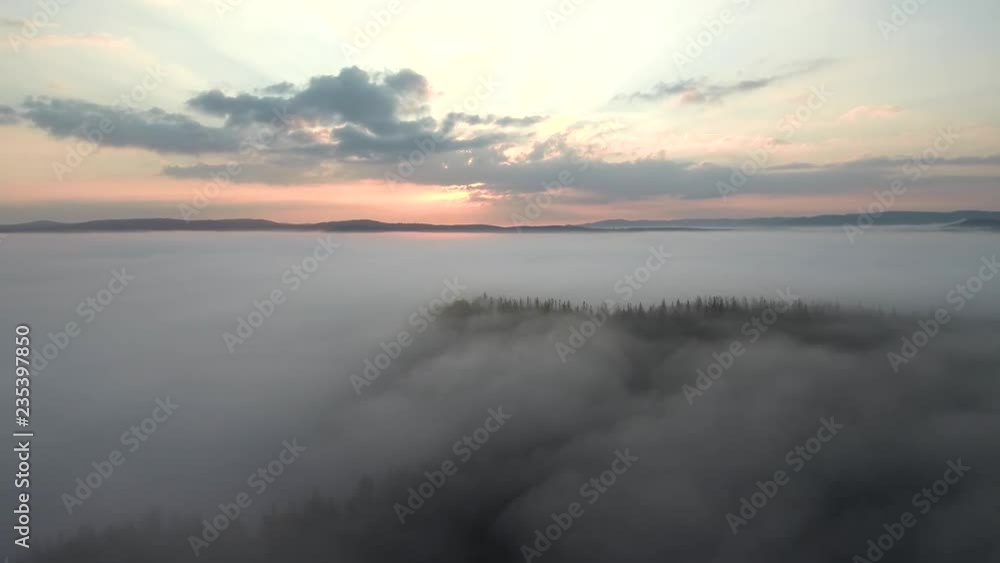 Taiga in autumn. Morning mist. Aerial view. Taiga in autumn. Morning mist. Aerial view.