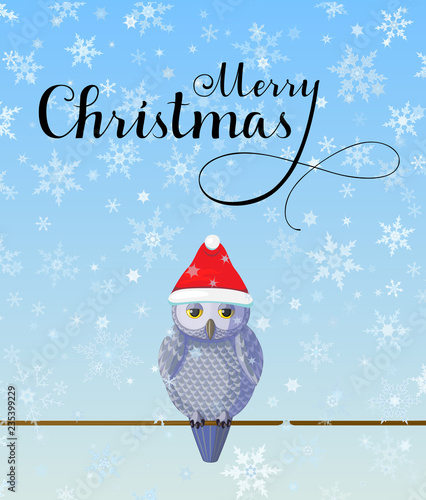 Christmas Greeting card with cute silver owl wear red hat on blue background with snowflakes.