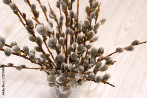 Transparent glass vase, branch of a blossoming willow on the window background .