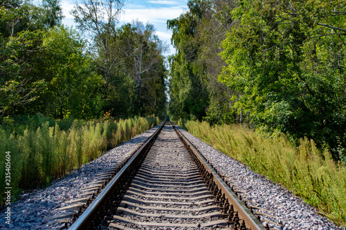 Railway rails in the forest © Николай Батаев