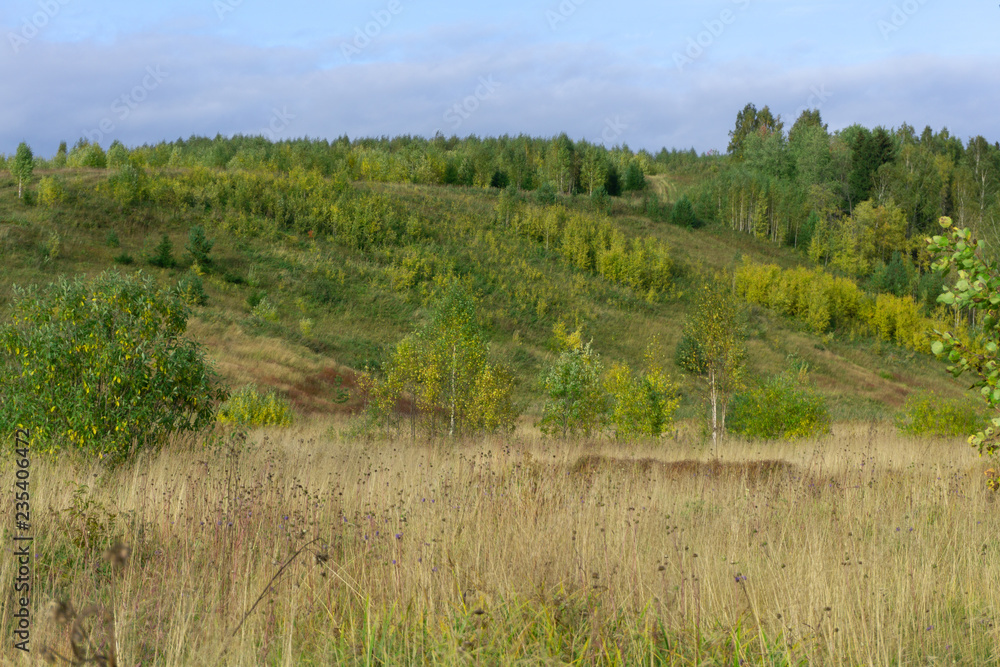 The road through a meadow with a tall grass. The grass is crushed. At the edge of the meadow is a forest. Warm summer evening Clean blue sky.