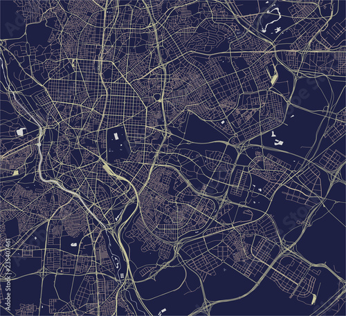 vector map of the city of Madrid, Spain photo