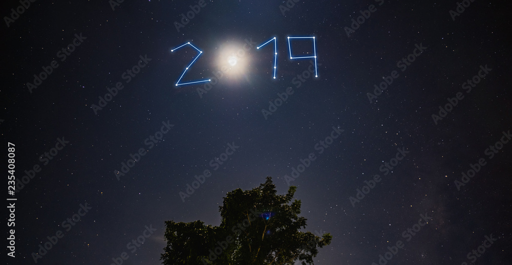 Fototapeta premium new year 2019 star and moon shine over tree at blue night.leave space for adding text for holiday greeting card.