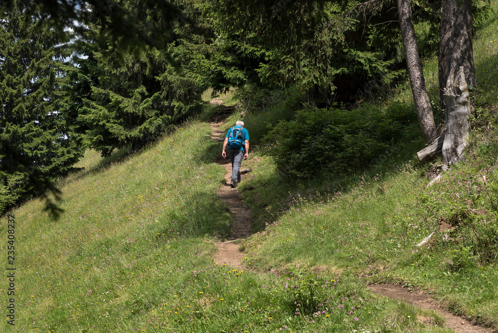 Obraz premium Geologenstein am Schlern