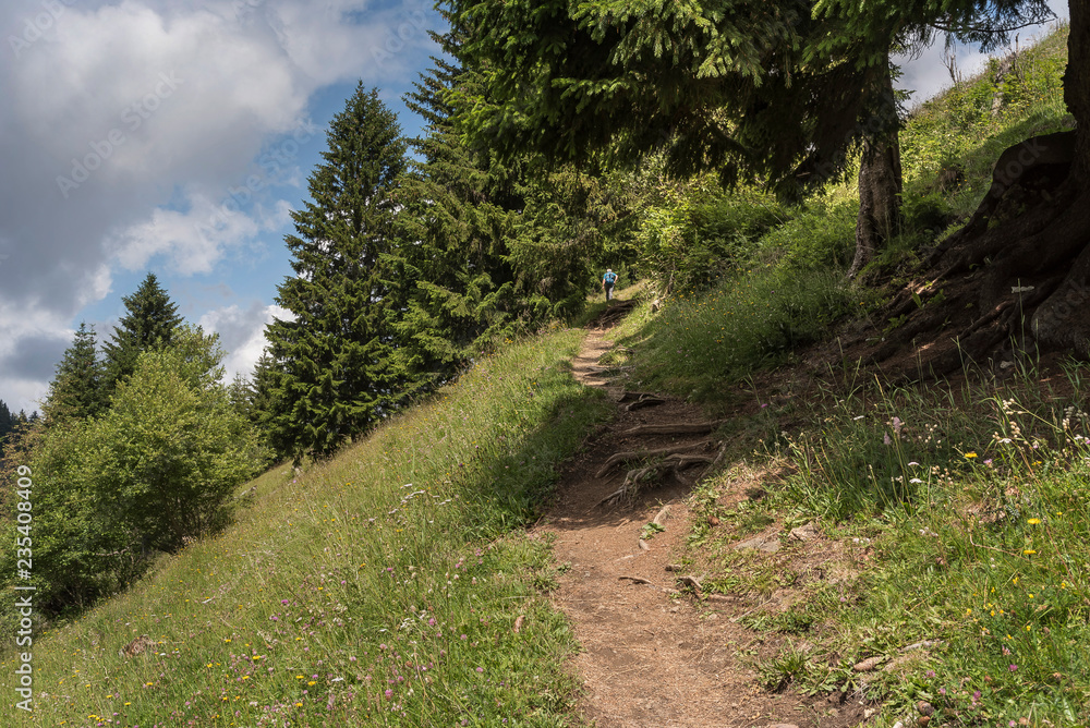 Geologenstein am Schlern