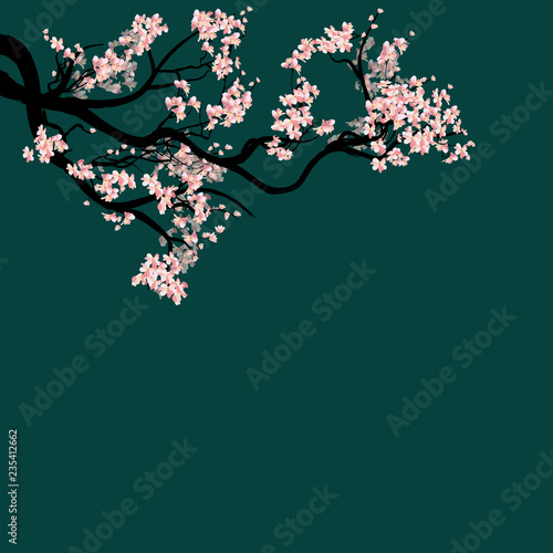 Watercolor sakura frame. Background with blossom cherry tree branches for new year 2019