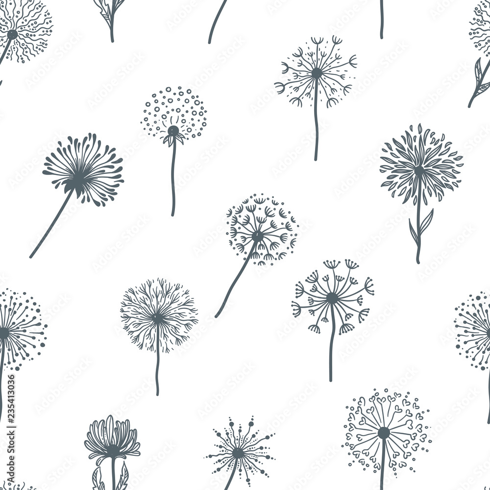 Naklejka Dandelion starej rośliny z nasionami, monochromatyczne szkice zarys, wzór