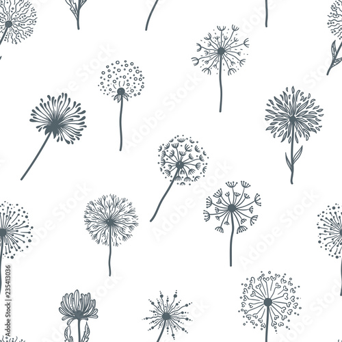Dandelion old plant with seeds  monochrome sketches outline  seamless pattern