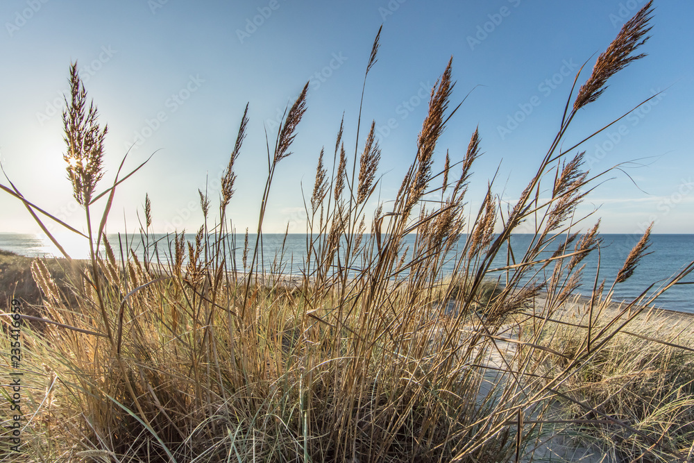 Fototapeta premium ostsee