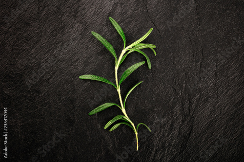 A photo of an elegant rosemary branch, shot from the top on a black background with a place for text