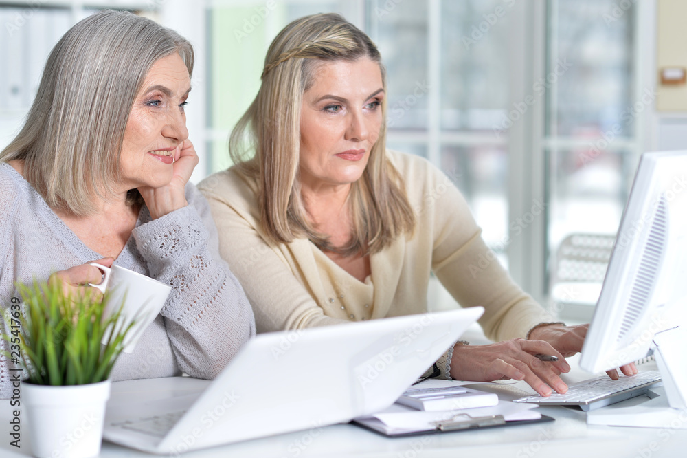 Two excited mature women working in office Two excited mature women working in office