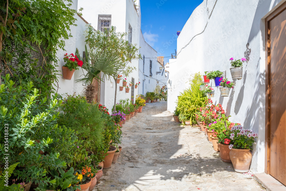 pedestrian alley narrowing with plants and flowers in pots in famous Andalusian old town, with typical arabic white houses, named Vejer de la Frontera (Cadiz, Andalusia, Spain, Europe) - obrazy, fototapety, plakaty 