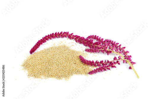 Papier peint Amaranth plant and seeds isolated on white background
