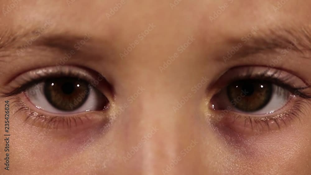 brown eyes of the child macro brown eyes of the child macro