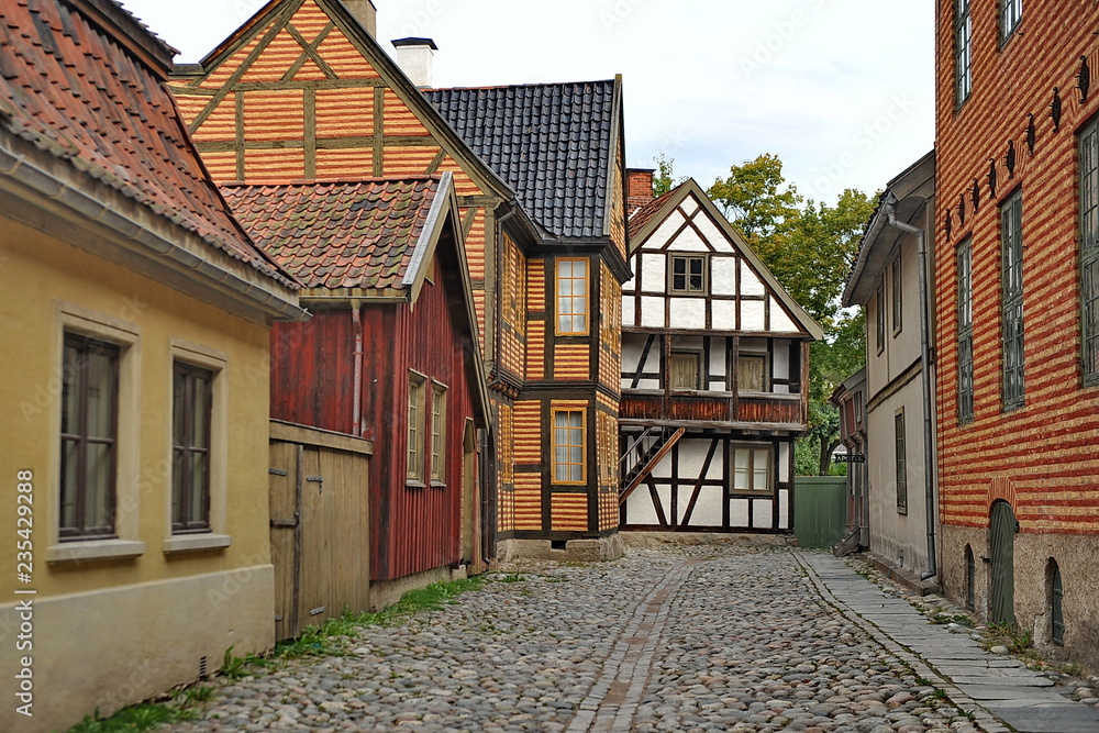 Houses in the Norwegian village. Houses in the Norwegian village.