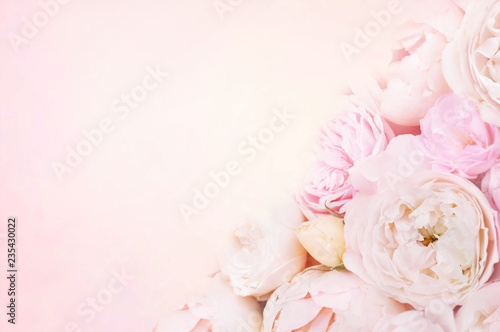 Summer blossoming delicate rose on blooming flowers festive background, pastel and soft bouquet floral card, selective focus, toned
