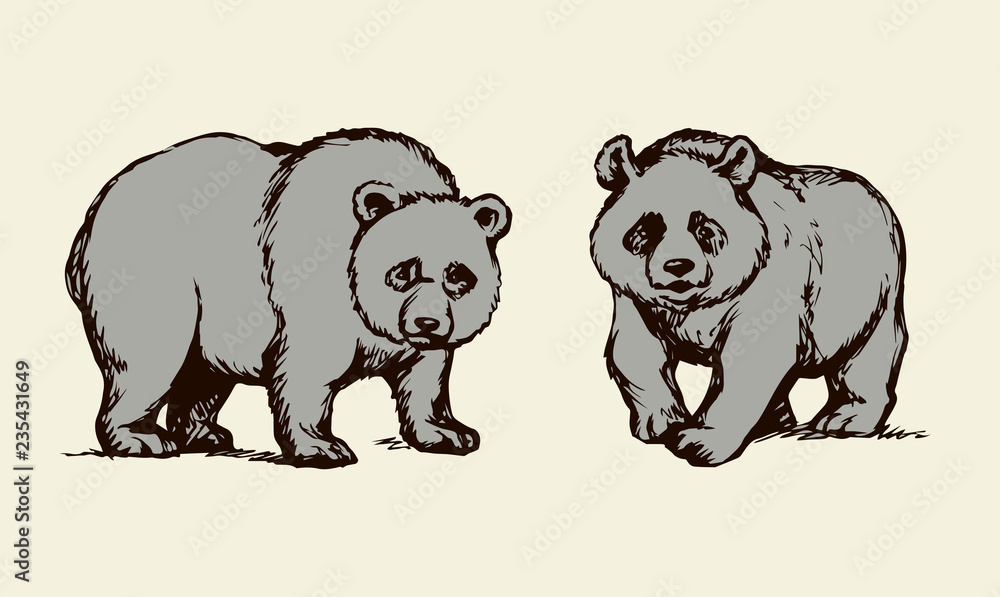 Fototapeta premium Panda. Vector drawing