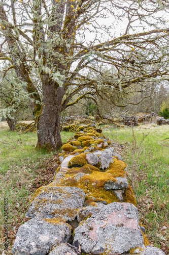 Stone wall with moss and house ruins