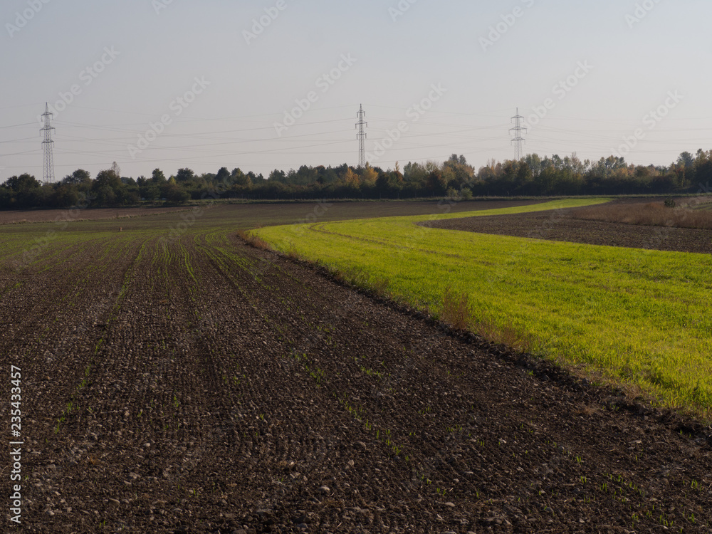 Plowed field and meadow