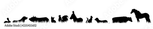 Vector silhouette of farm animal in the grass on white background.