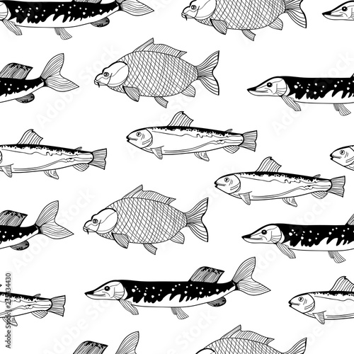Hand drawn fish. Pike, trout and carp. Graphic vector seamless pattern