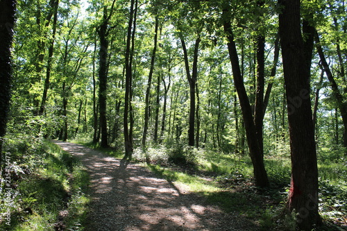 Photos DOMAINE ET CHATEAU DE LACROIX-LAVAL - MARCY L'ETOILE - RHONE