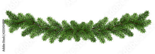 Long garland of spruce / pine branches.Winter festive decorations. Panorama.  Isolated on white background without shadow.