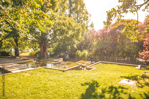 Herbst in Kurpark Oberlaa in Wien - Wassetreppe und Rosenberg photo