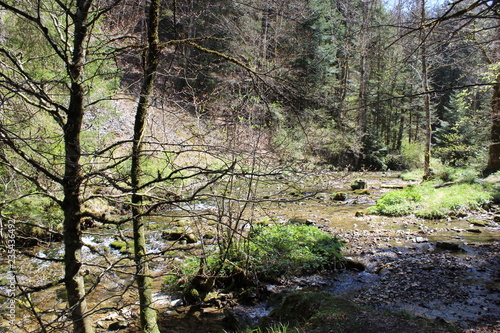 GORGES DU BRUYANT - LANS EN VERCORS - ISERE - FRANCE