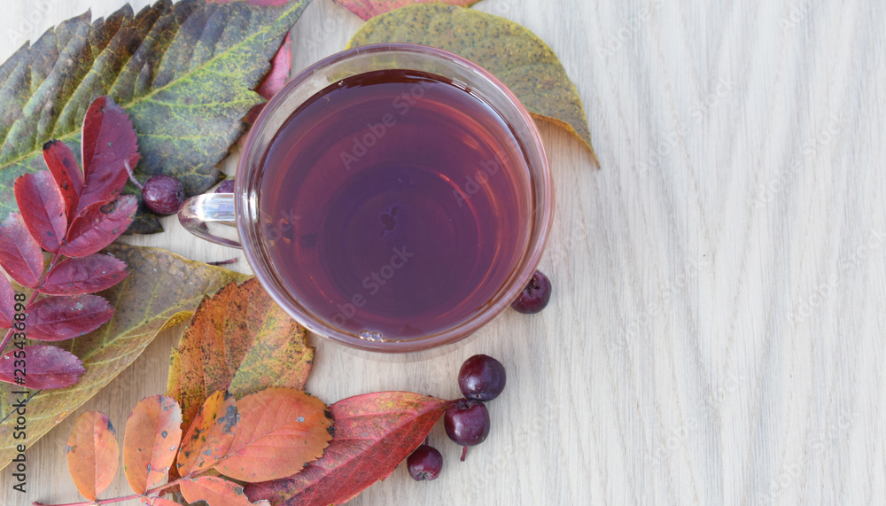 Autumn composition on a light background. Autumn composition on a light background.