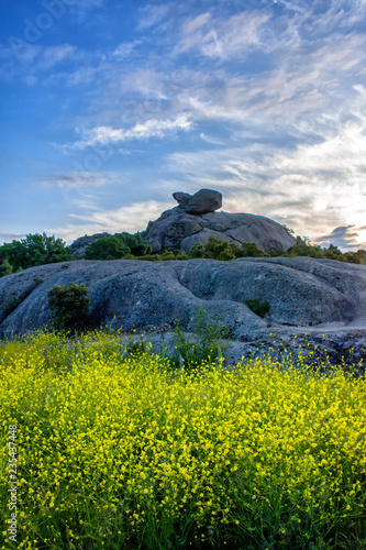 Paisaje serrano en torrelodones photo