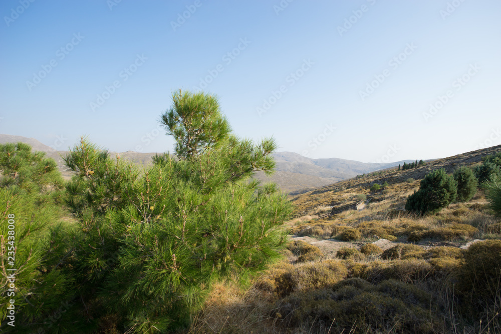 Obraz premium Berlandschaft auf Lesbos