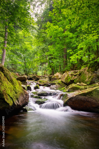 Ilsewasser Harz