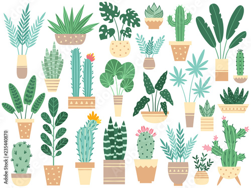Home plants in pots. Nature houseplants, decoration potted houseplant and flower plant planting in pot vector isolated illustration