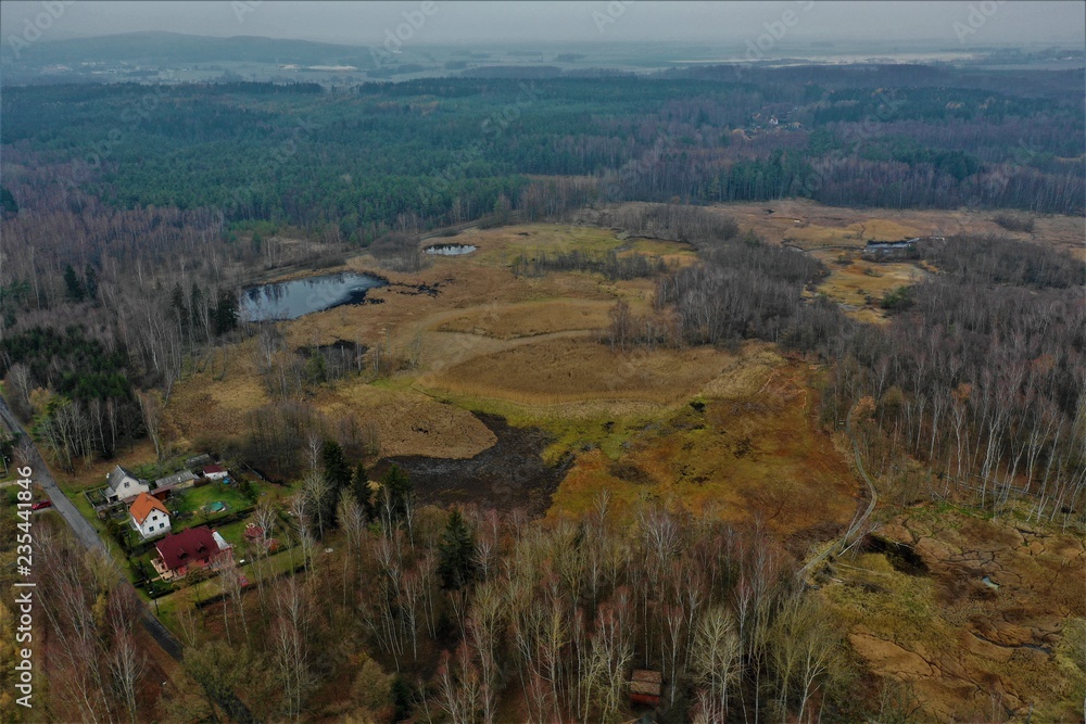 Naklejka premium Soos - Nationales Naturreservat