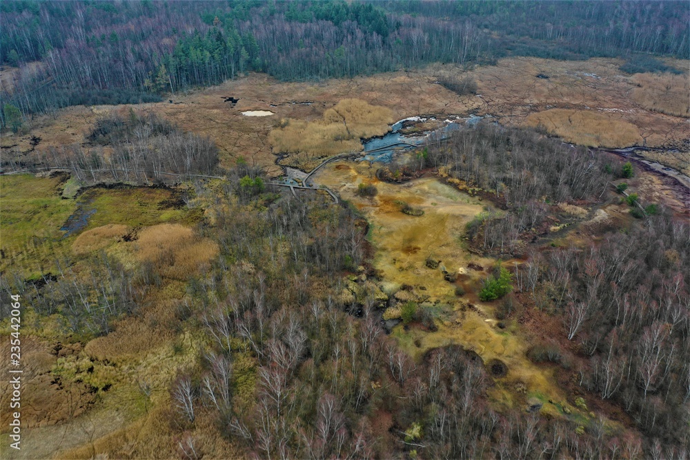 Naklejka premium Soos - Nationales Naturreservat