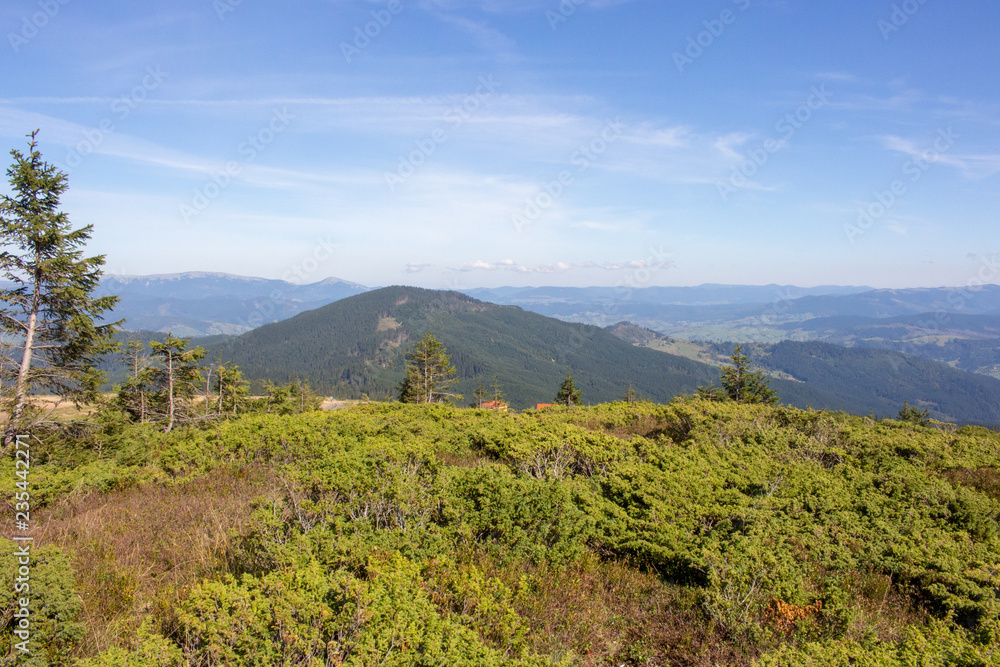 Wonderful panoramic view of Carpathians mountains, Ukraine. Evergreen forest hills and blue sky. Carpathians mountains landscape. Travel and hiking concept. Mountains nature in perspective.