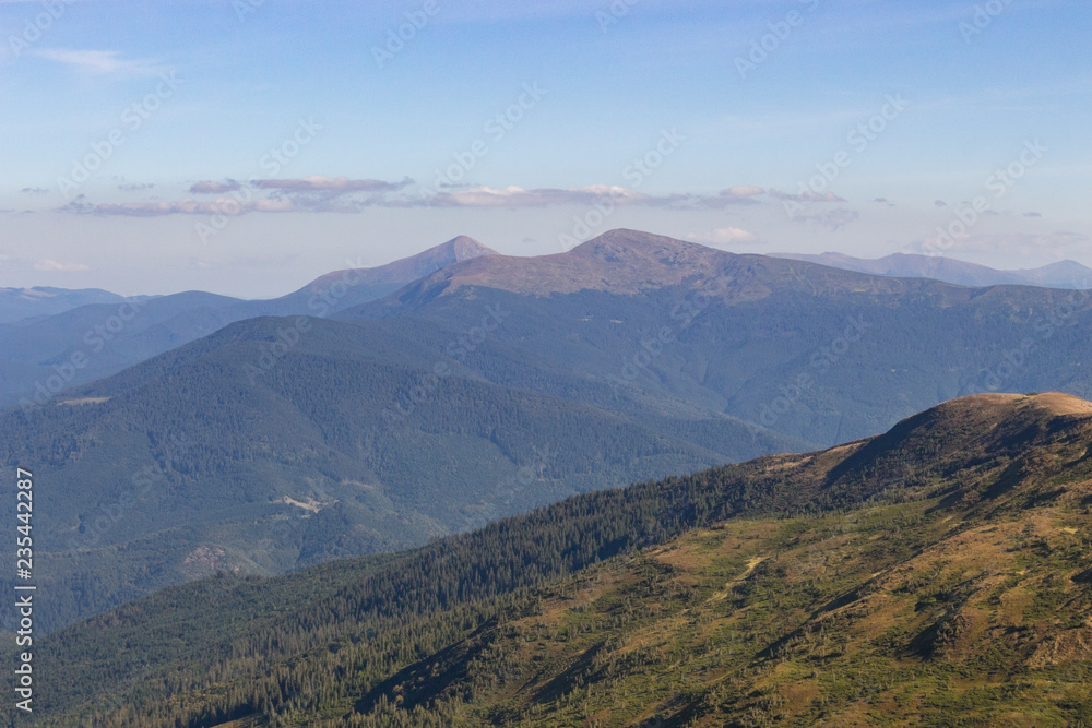 Wonderful panoramic view of Carpathians mountains, Ukraine. Mount Hoverla, Carpathians. Evergreen hills landscape with clear sky. Scenic mountains view. Summer nature. Travel and hiking concept.