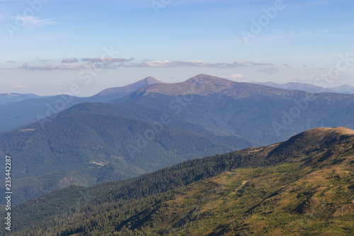 Wonderful panoramic view of Carpathians mountains, Ukraine. Mount Hoverla, Carpathians. Evergreen hills landscape with clear sky. Scenic mountains view. Summer nature. Travel and hiking concept. © Nataliia