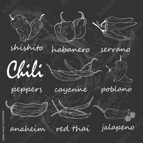 Hand drawn chili peppers. Graphic vector set. Chalkboard style. All elements are isolated