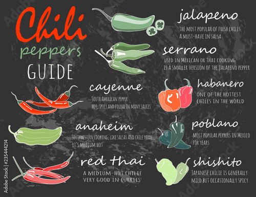 Chili peppers guide. Graphic vector illustration. Chalkboard style