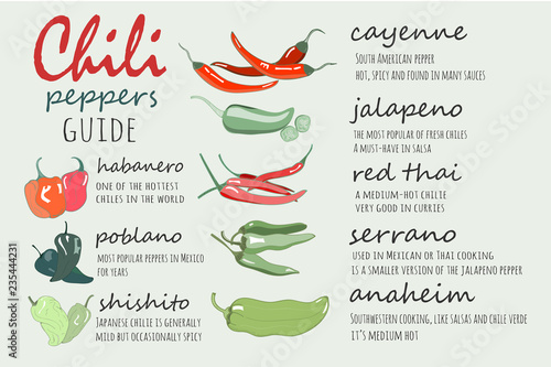 Chili peppers guide. Graphic vector illustration