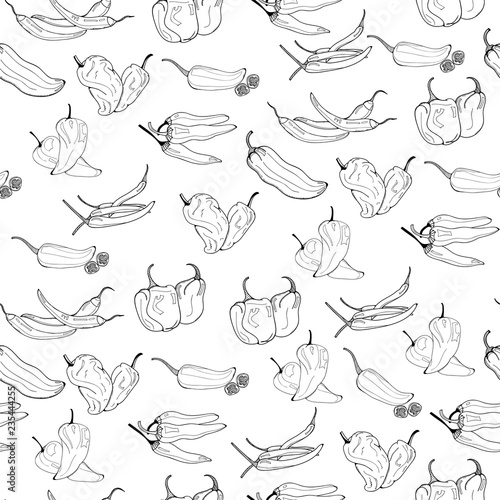 Hand drawn chili peppers. Graphic vector seamless pattern