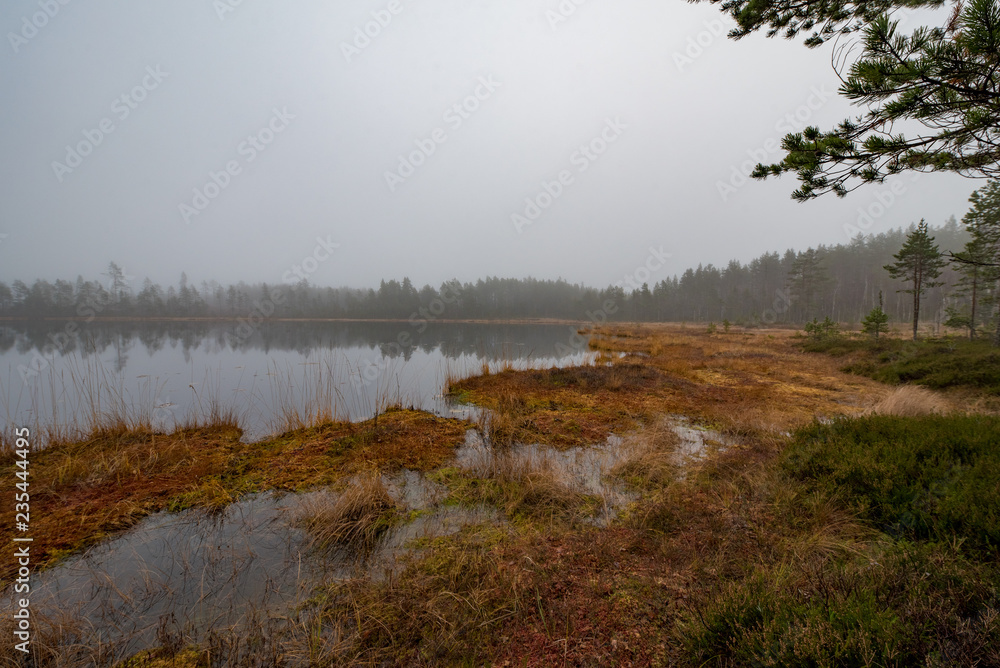 little lake in a foggy lanscape in Filipstad Sweden november 201