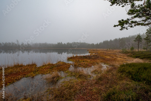 little lake in a foggy lanscape in Filipstad Sweden november 201