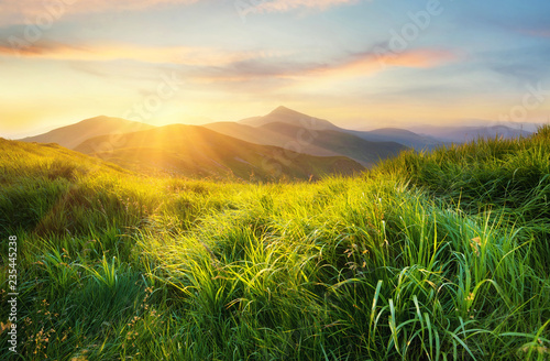 Fototapeta Naklejka Na Ścianę i Meble -  Mountain valley during sunset. Field with fresh grass and the mountain hills. Natural landscape at the summer time