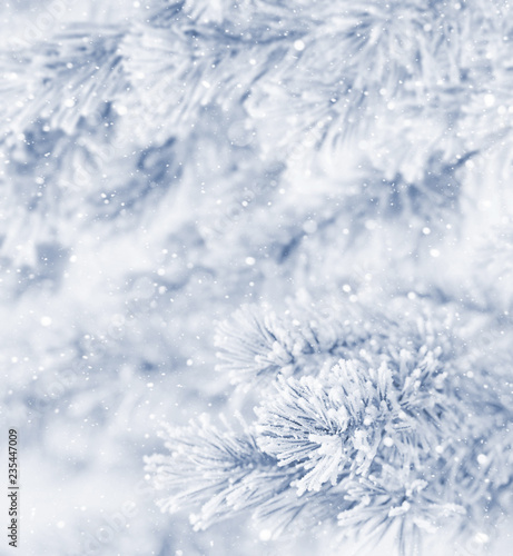 Winter background © Leonid Ikan