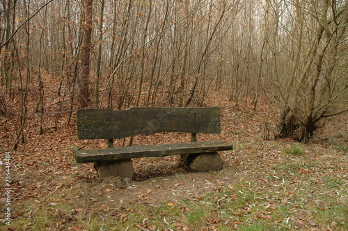 A bench in an autoomn forest