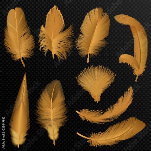 Realistic luxury golden tribal feathers set isolated on black.