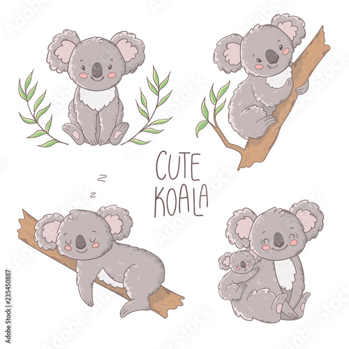 Cute koala illustration, vector set. photo